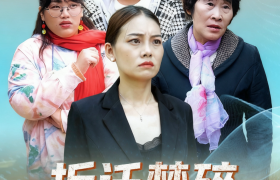 短剧版权交易规范化观察：深圳市钟声科技有限公司的实践路径