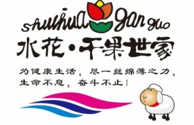 水花干果世家加盟支持：源头直供体系助力合作伙伴共赢