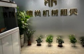 河北塔吊租赁如何选：德尚机械全过程服务解析